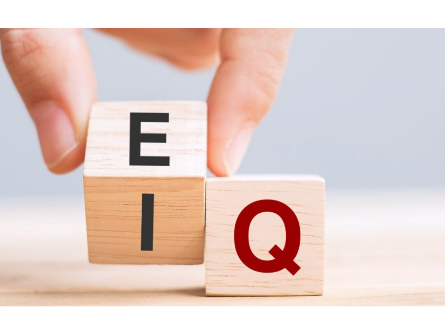 Emosional zəka (EQ) nədir? Emosional zəka (EQ) nədir?